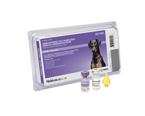 Canine Adenovirus Type 2 Vaccination .